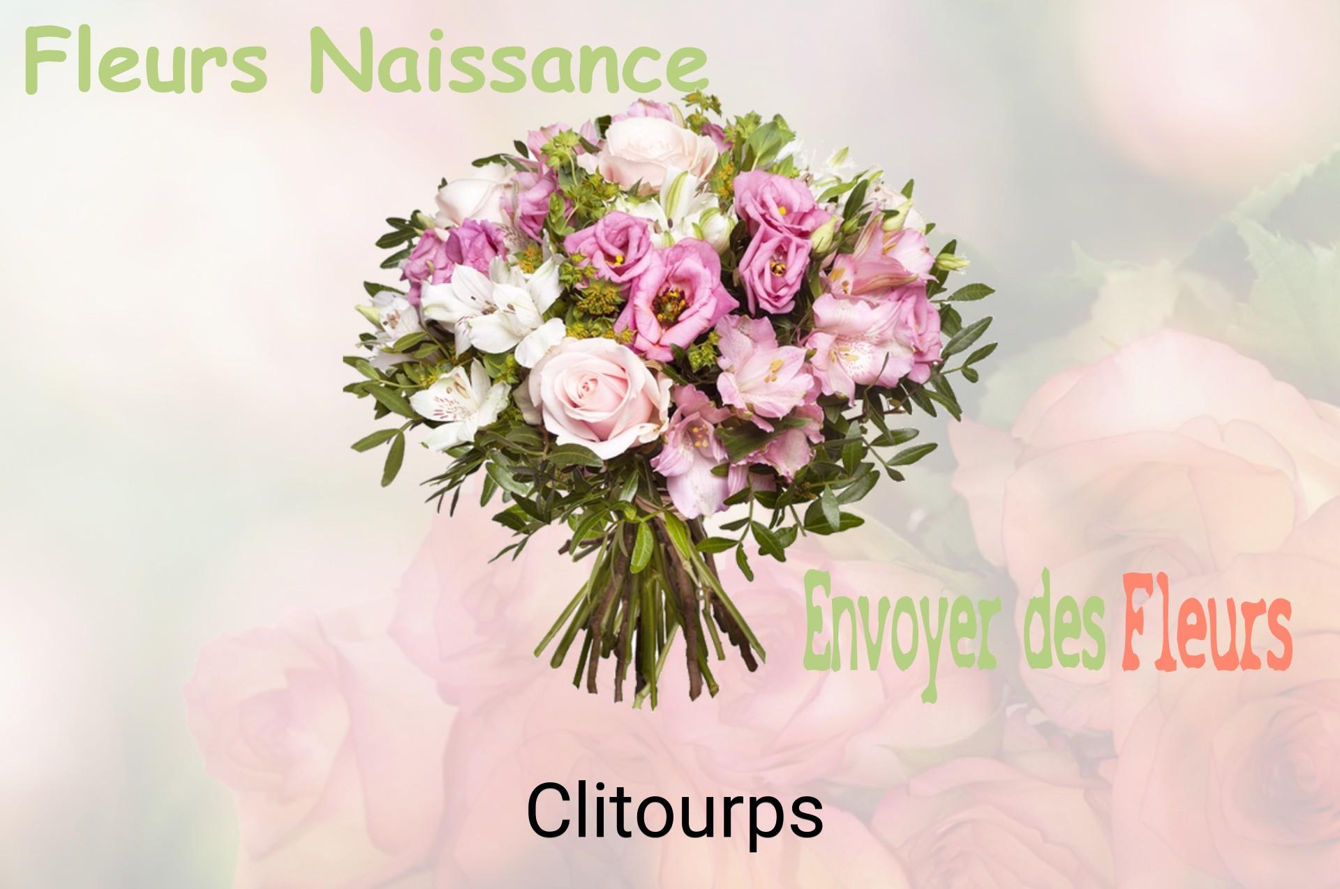 Bouquet de fleurs de naissance livré à Clitourps